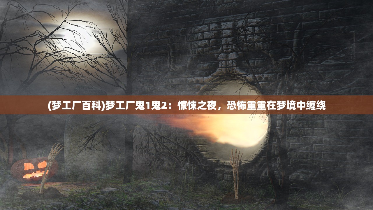 (武林闲侠好玩吗)武林闲侠停运深度解析，原因与未来展望