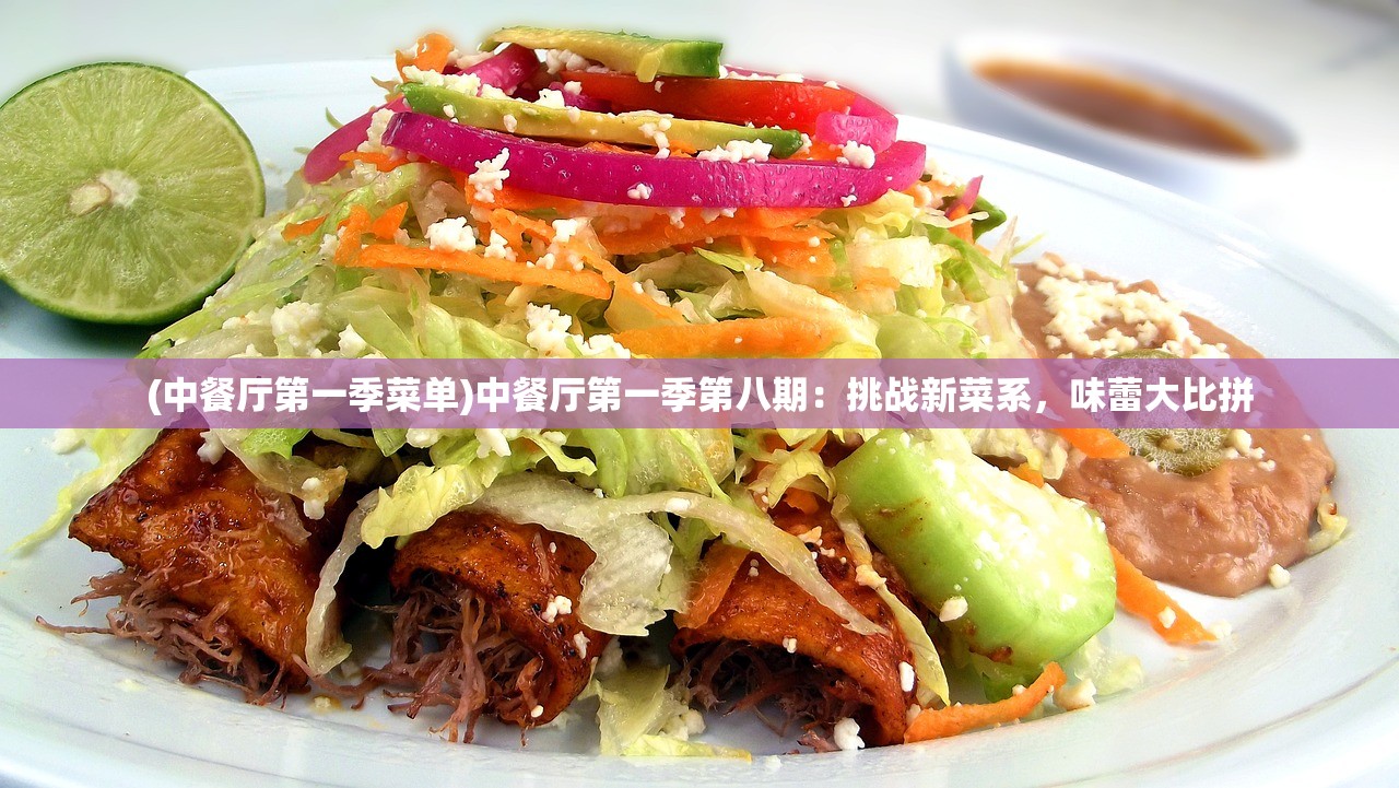 (中餐厅第一季菜单)中餐厅第一季第八期：挑战新菜系，味蕾大比拼