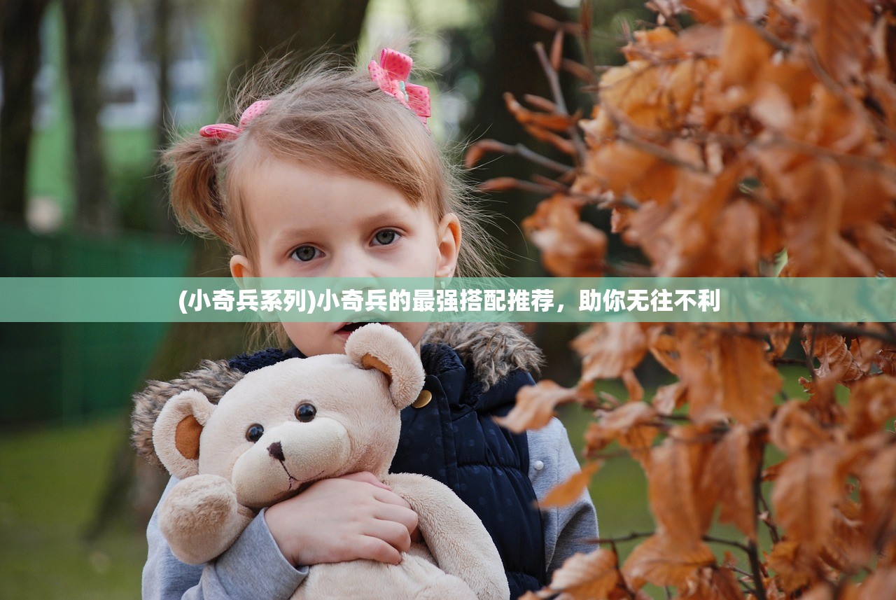 (小奇兵系列)小奇兵的最强搭配推荐，助你无往不利