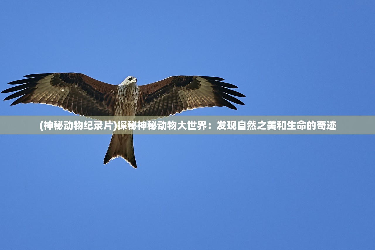文道境界划分12个等级：探索文字背后的深刻意义，突破传统文学境界