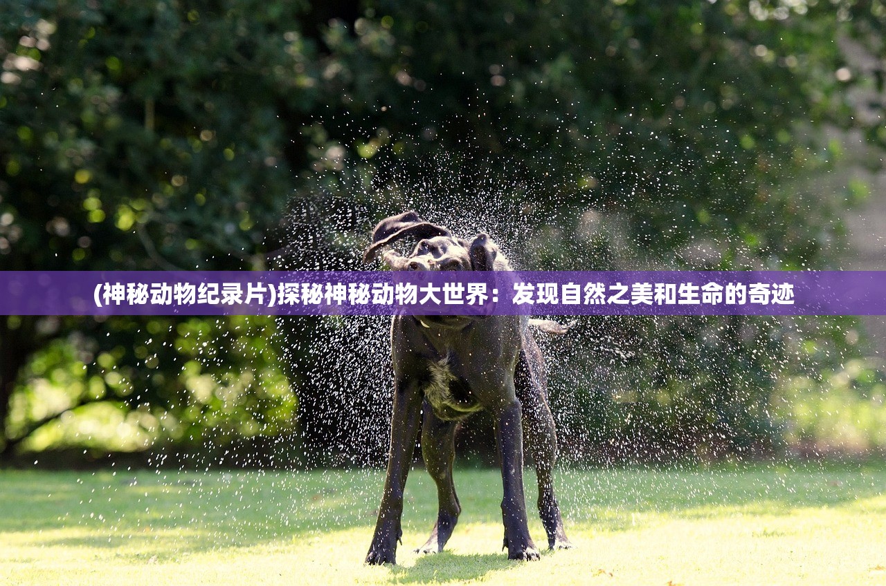 (魔界 导游)基于魔导与游云的探索之旅
