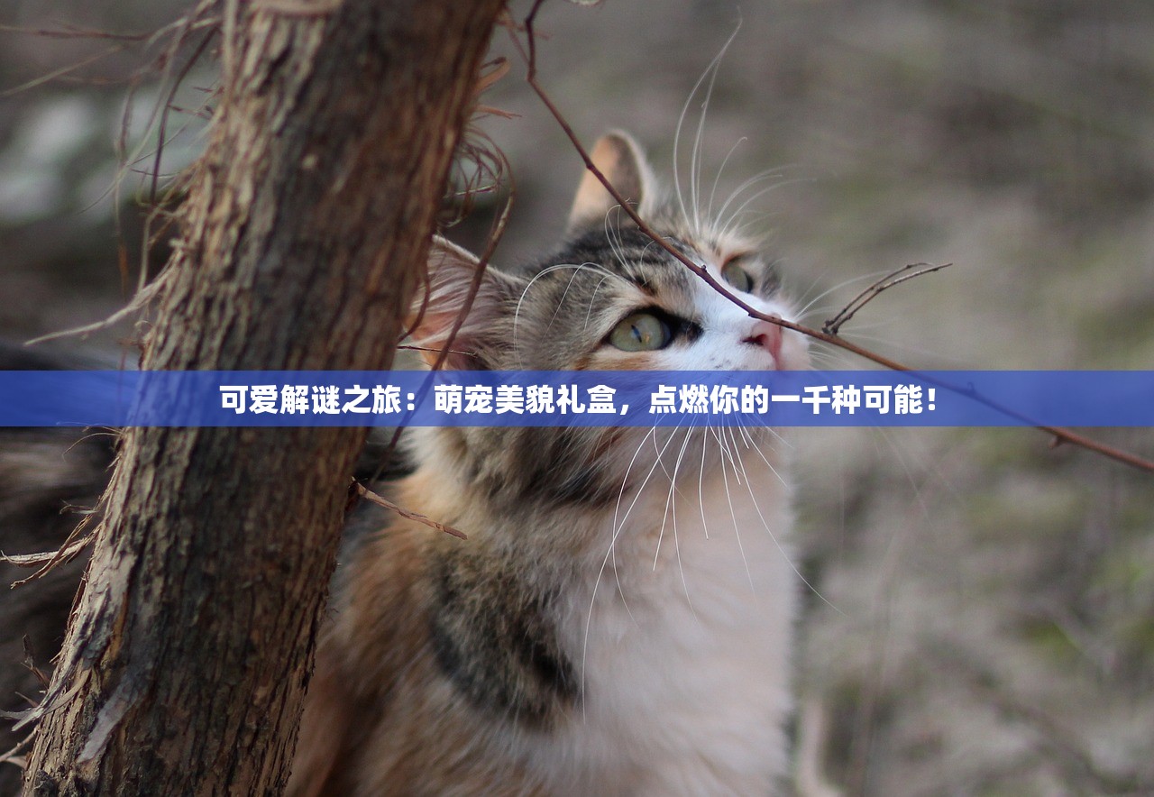 (阴阳师 小米服)阴阳师小米渠道服下载指南：如何下载并开始游玩？