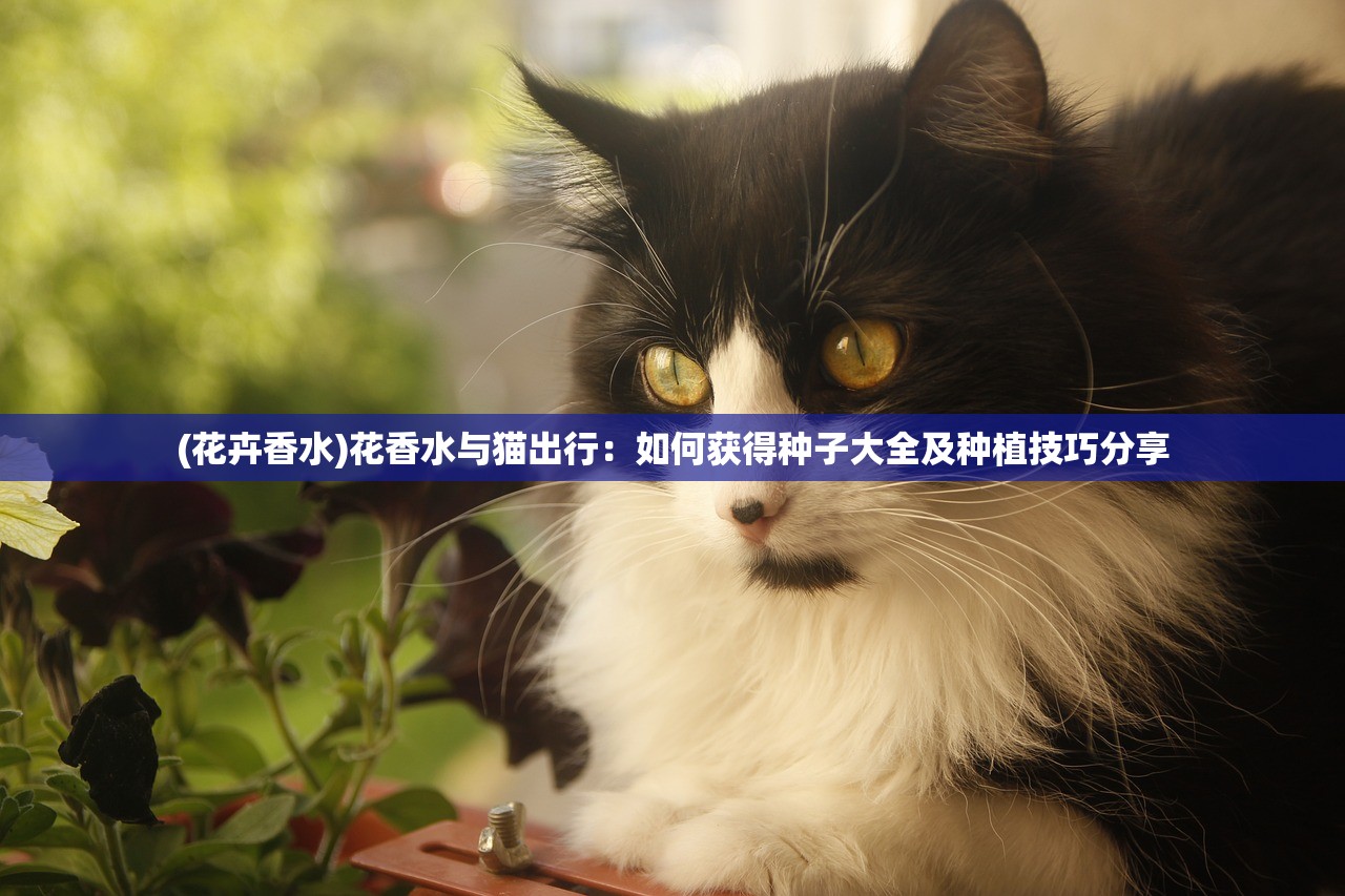 (梦乐园是什么)梦乐园哪些角色值得培养？探索游戏中最强战士和团队。