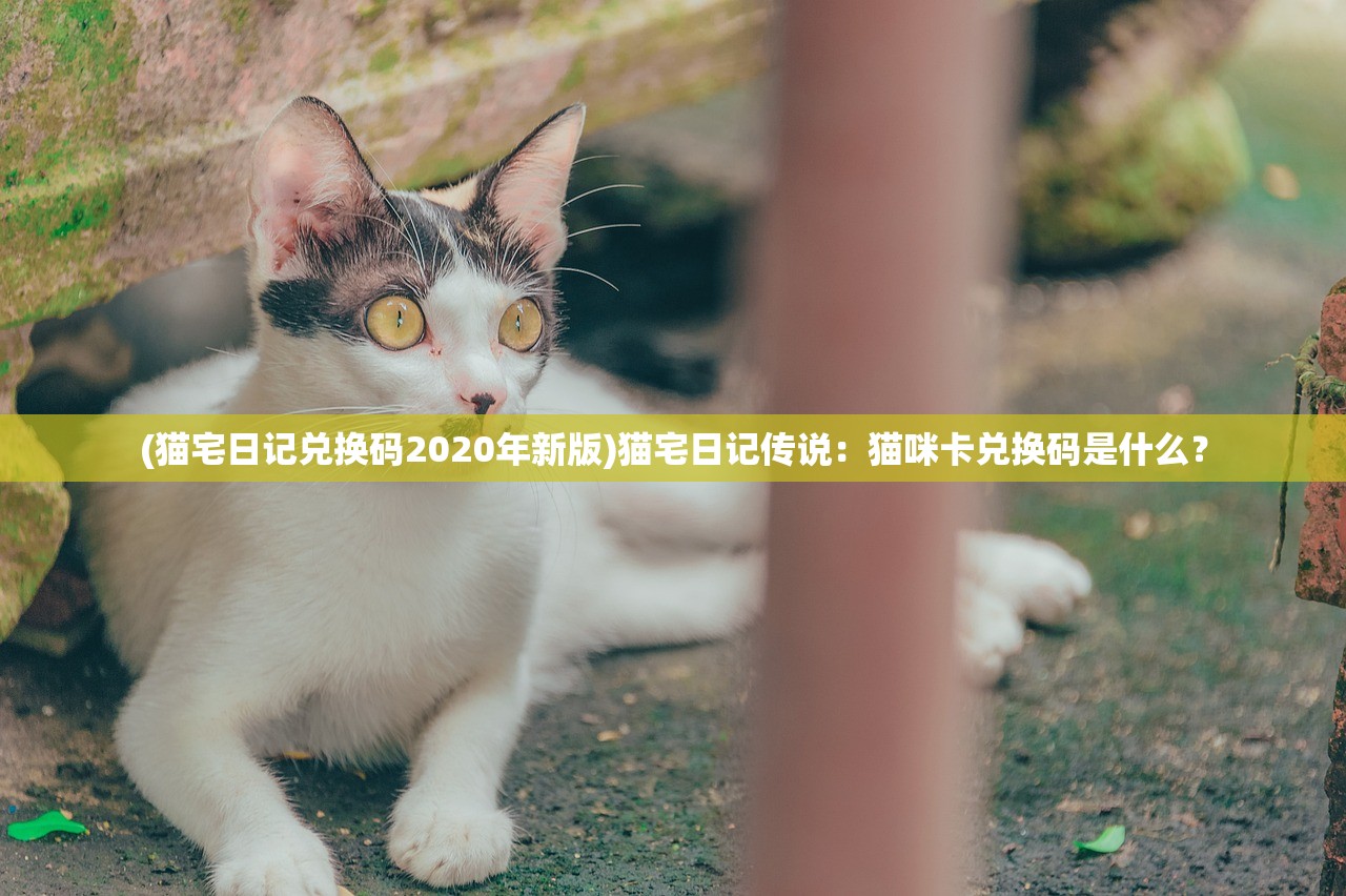 (猫宅日记兑换码2020年新版)猫宅日记传说：猫咪卡兑换码是什么？