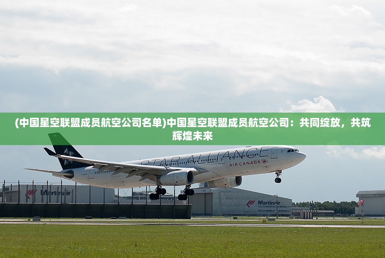 (中国星空联盟成员航空公司名单)中国星空联盟成员航空公司：共同绽放，共筑辉煌未来