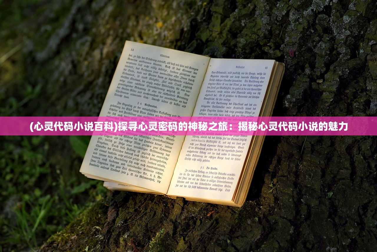 (心灵代码小说百科)探寻心灵密码的神秘之旅：揭秘心灵代码小说的魅力