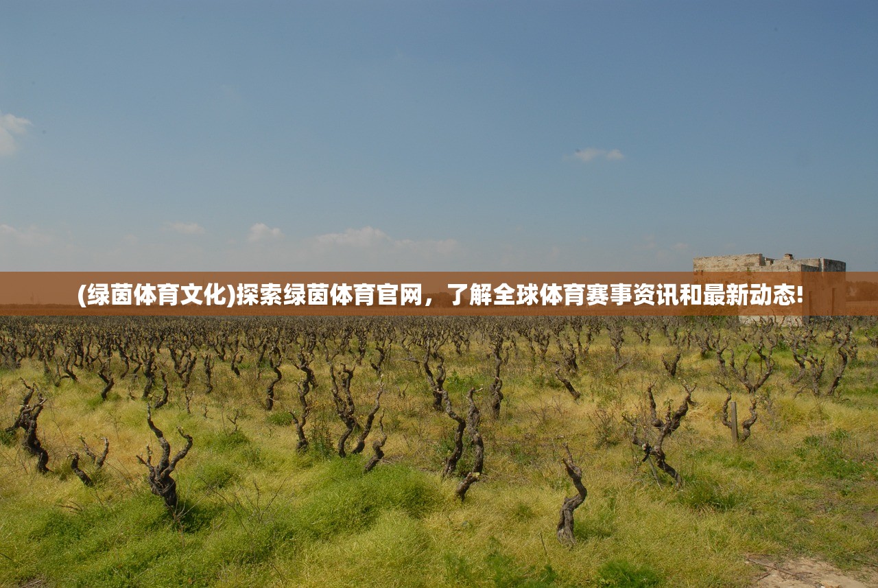 (水煮三国小品先生不出山)水煮三国小品，历史与幽默的完美结合