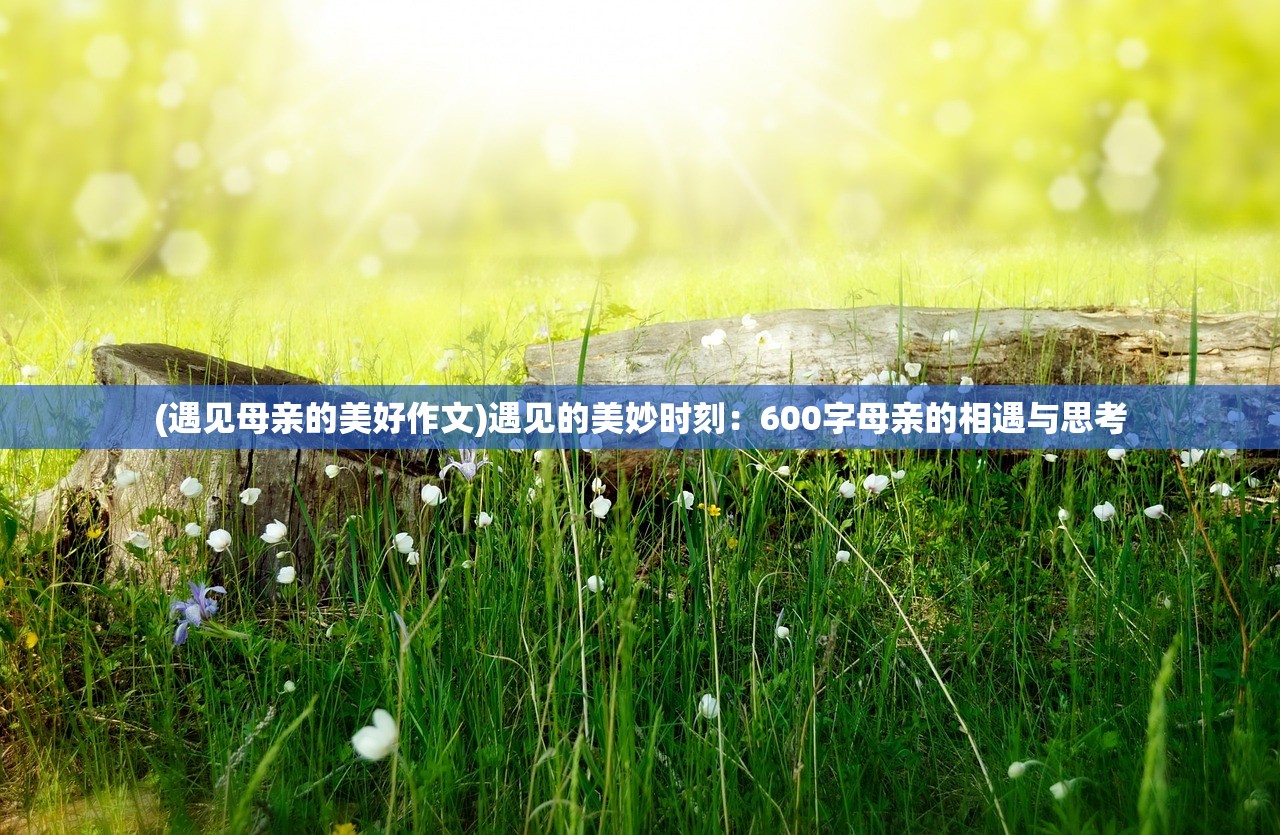 (寂灭剑诀阵容怎么搭配好)寂灭剑诀阵容，策略分析与实战指南