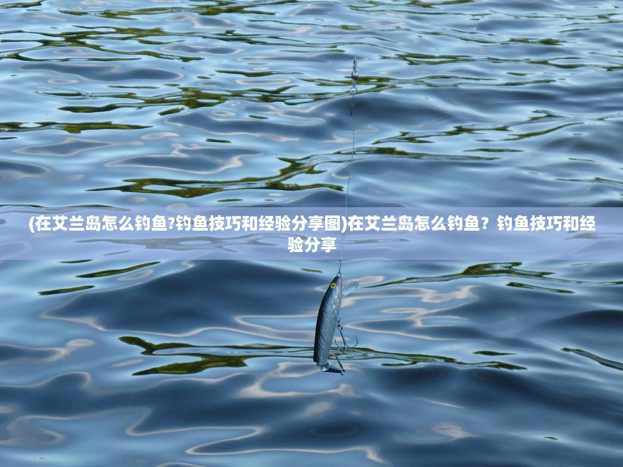 (在艾兰岛怎么钓鱼?钓鱼技巧和经验分享图)在艾兰岛怎么钓鱼？钓鱼技巧和经验分享