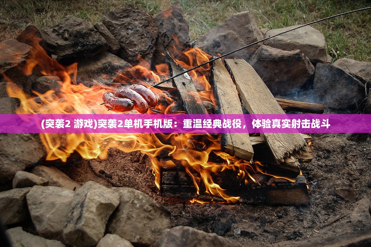 (突袭2 游戏)突袭2单机手机版：重温经典战役，体验真实射击战斗