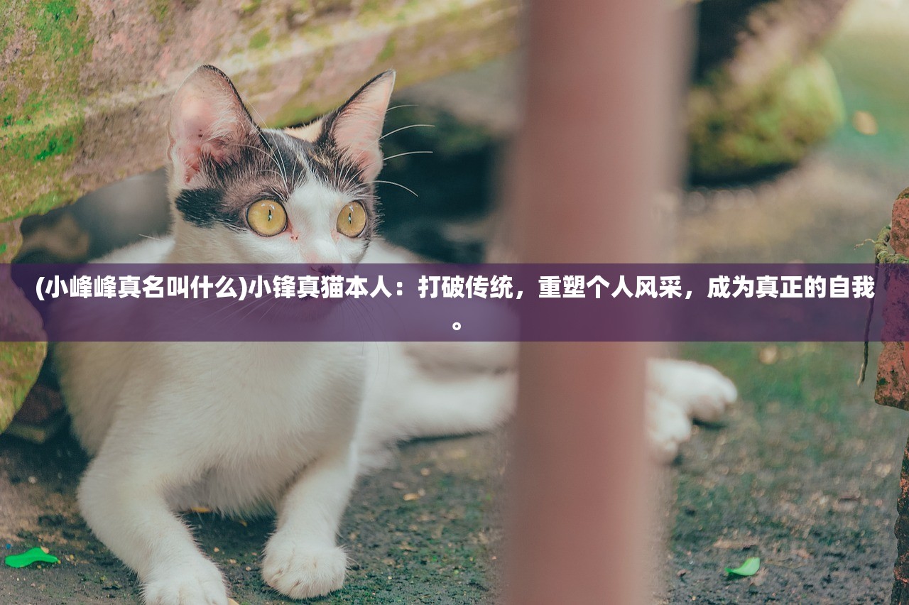 (小峰峰真名叫什么)小锋真猫本人：打破传统，重塑个人风采，成为真正的自我。