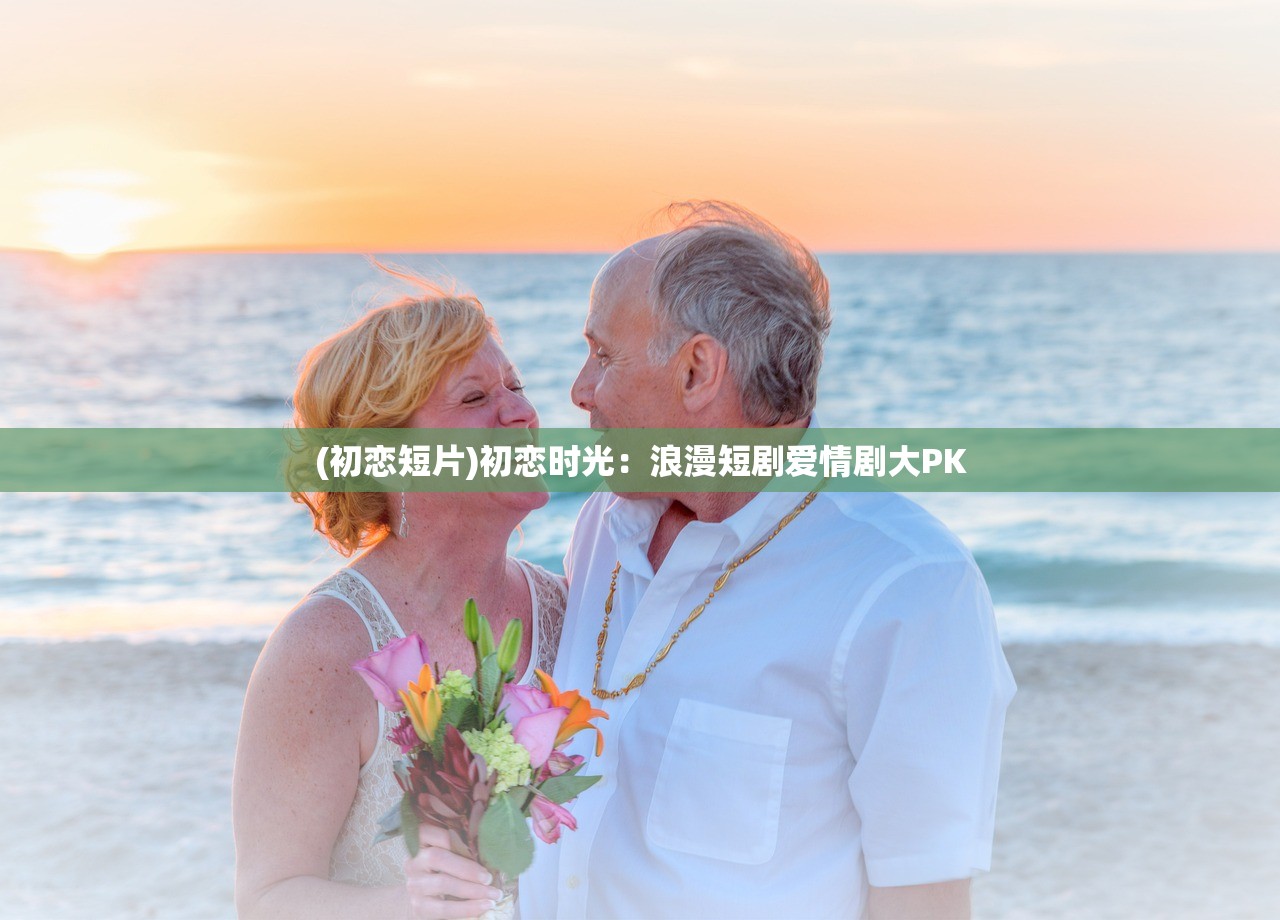 (第六大陆网页版)第六大陆网页游戏，探索虚拟世界的无限魅力与策略分析