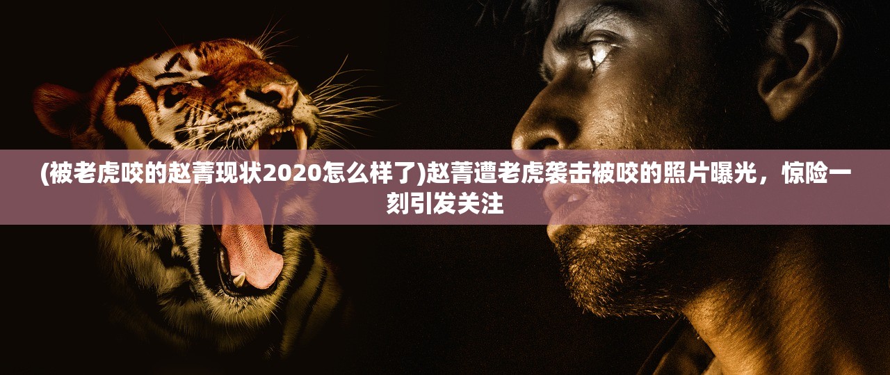 (被老虎咬的赵菁现状2020怎么样了)赵菁遭老虎袭击被咬的照片曝光，惊险一刻引发关注