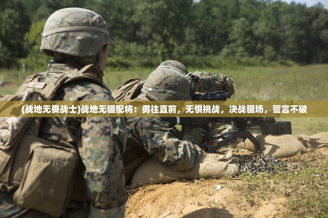 (战地无畏战士)战地无疆配将：勇往直前，无惧挑战，决战疆场，誓言不破