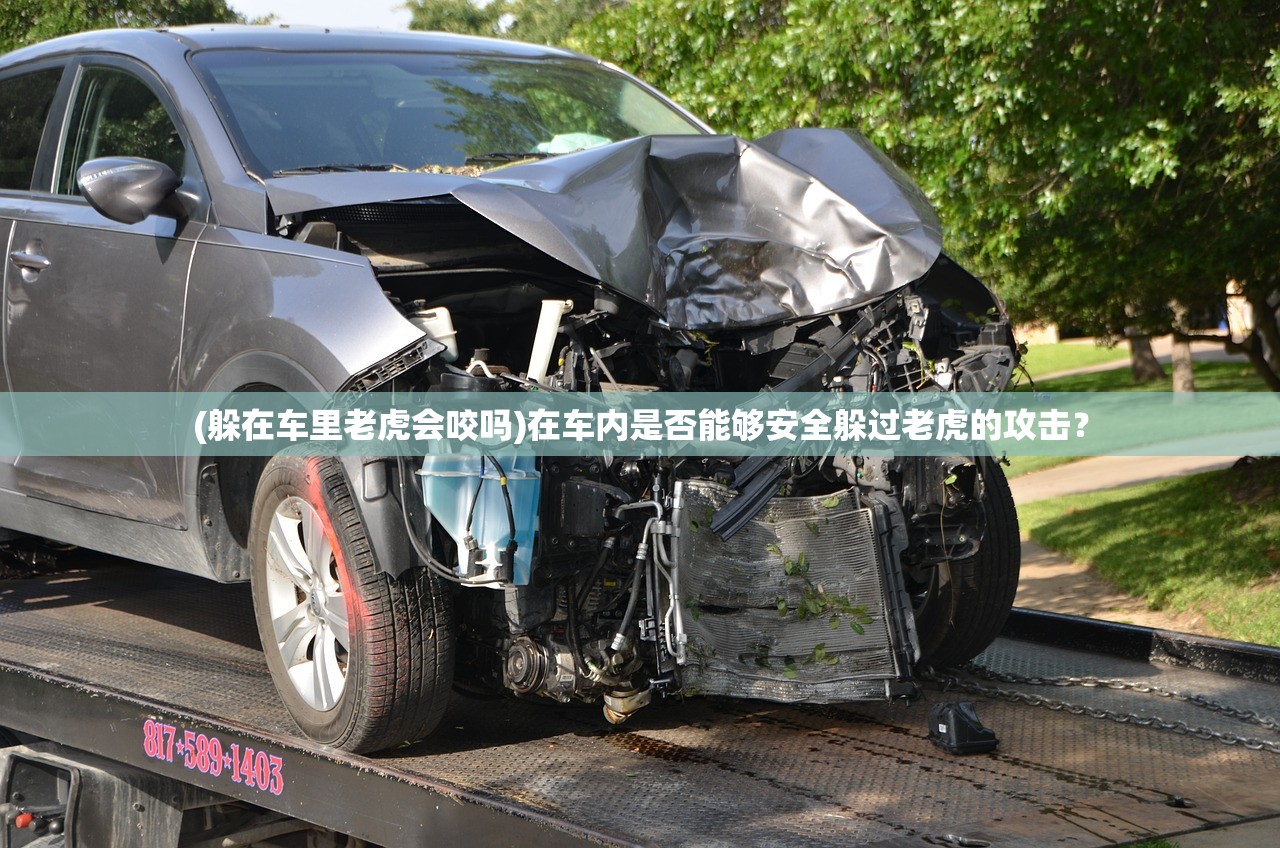 (攻坚特勤手游怎么玩)攻坚特勤手游，深度探索与独特体验
