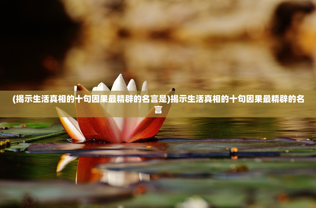 (《筑梦》)筑梦颂攻略，探索未知世界的全方位指南