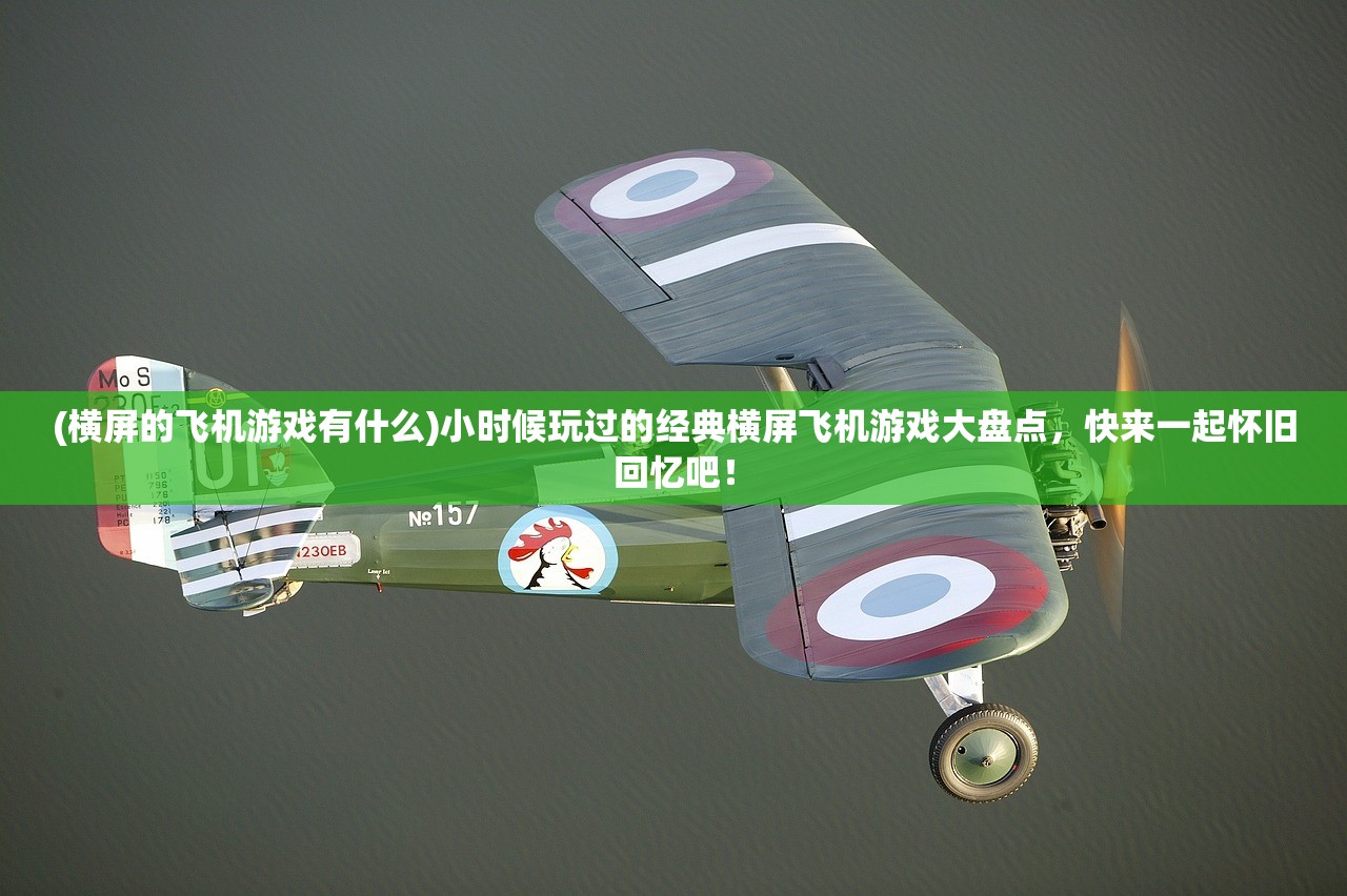 (横屏的飞机游戏有什么)小时候玩过的经典横屏飞机游戏大盘点，快来一起怀旧回忆吧！