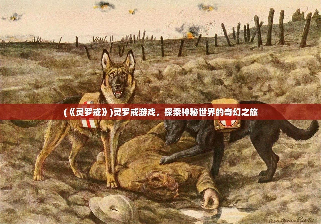 (《灵罗戒》)灵罗戒游戏，探索神秘世界的奇幻之旅