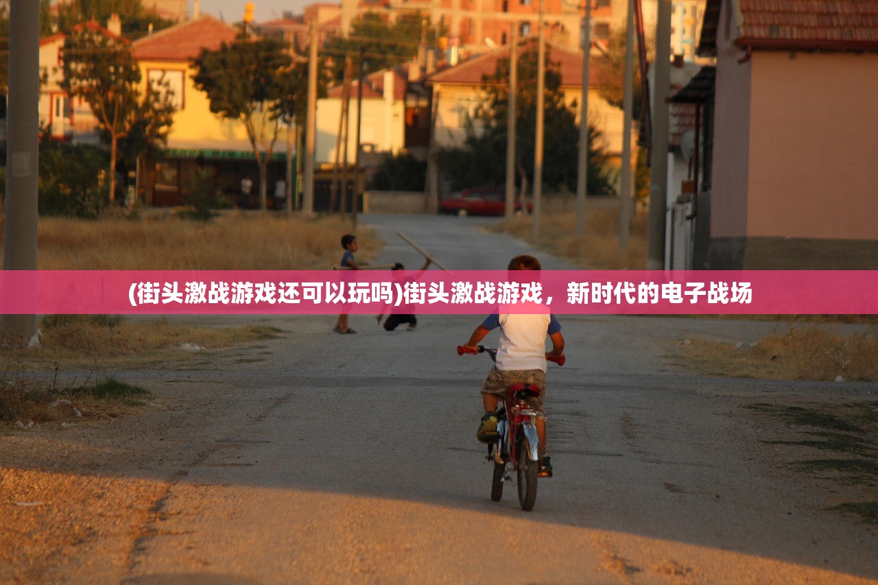 (街头激战游戏还可以玩吗)街头激战游戏，新时代的电子战场