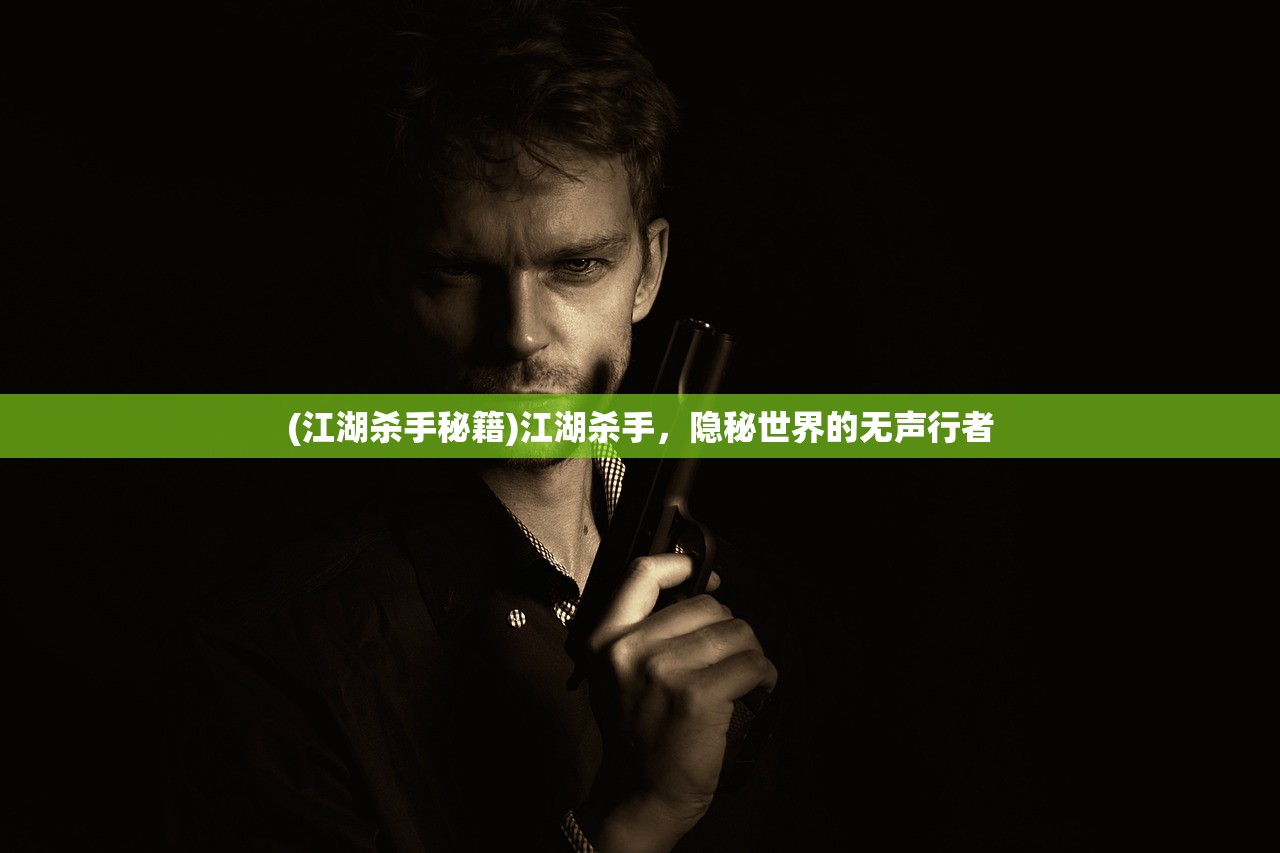 (江湖杀手秘籍)江湖杀手，隐秘世界的无声行者