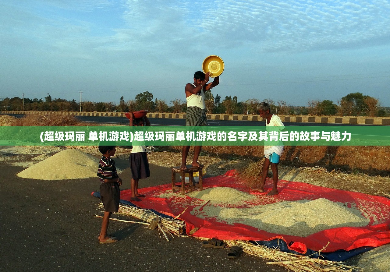 (超级玛丽 单机游戏)超级玛丽单机游戏的名字及其背后的故事与魅力