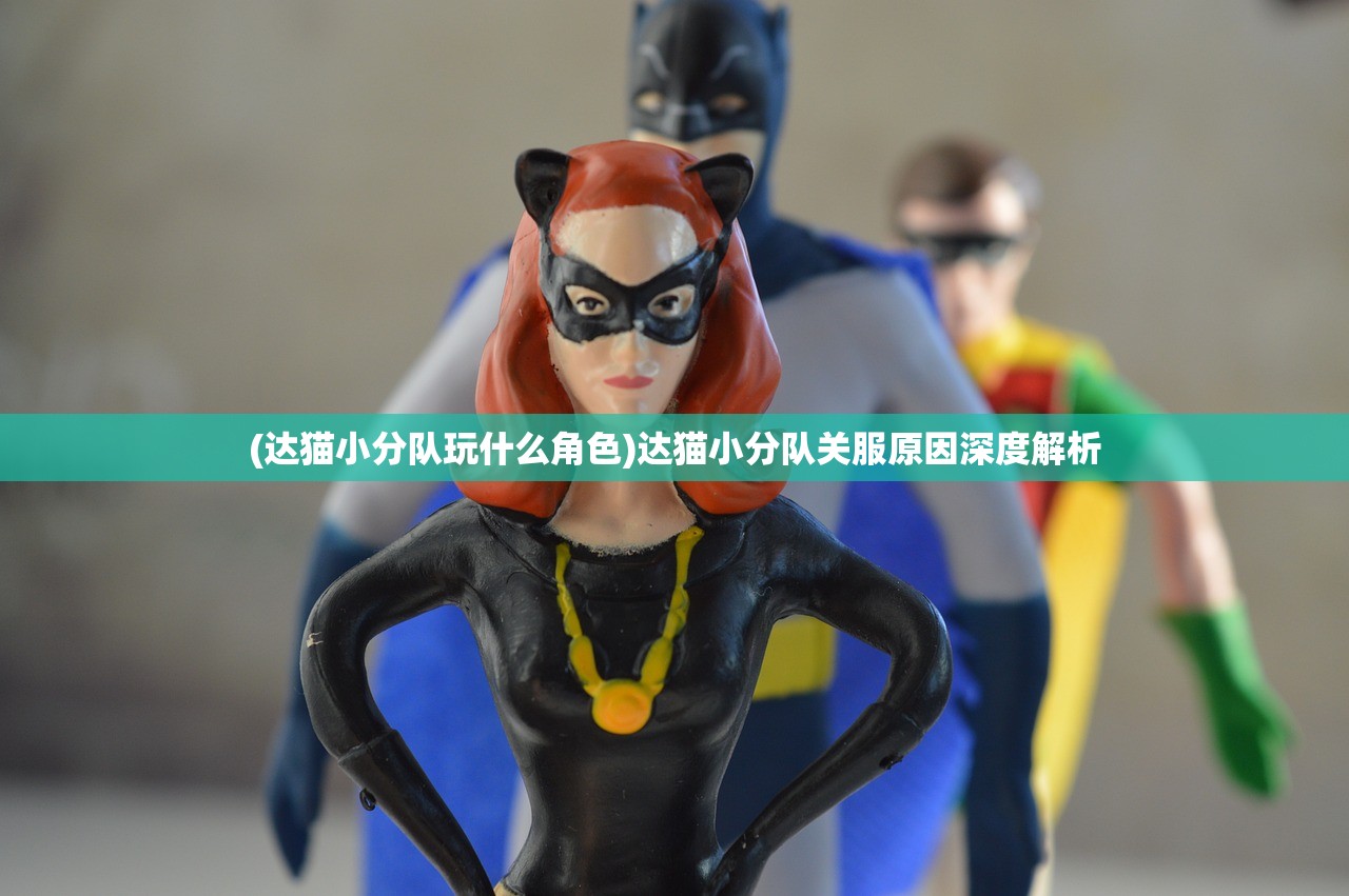 (达猫小分队玩什么角色)达猫小分队关服原因深度解析