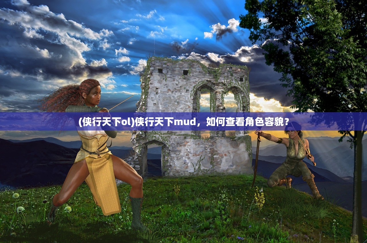 (侠行天下ol)侠行天下mud，如何查看角色容貌？