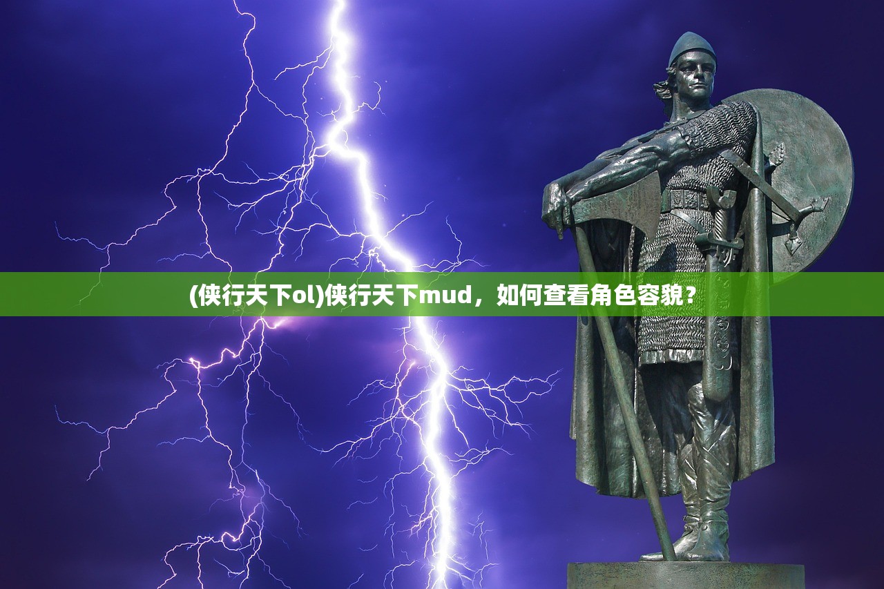 (侠行天下ol)侠行天下mud，如何查看角色容貌？