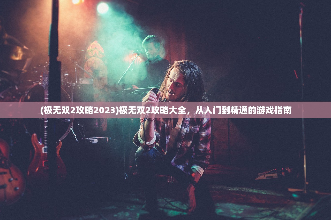 (极无双2攻略2023)极无双2攻略大全，从入门到精通的游戏指南
