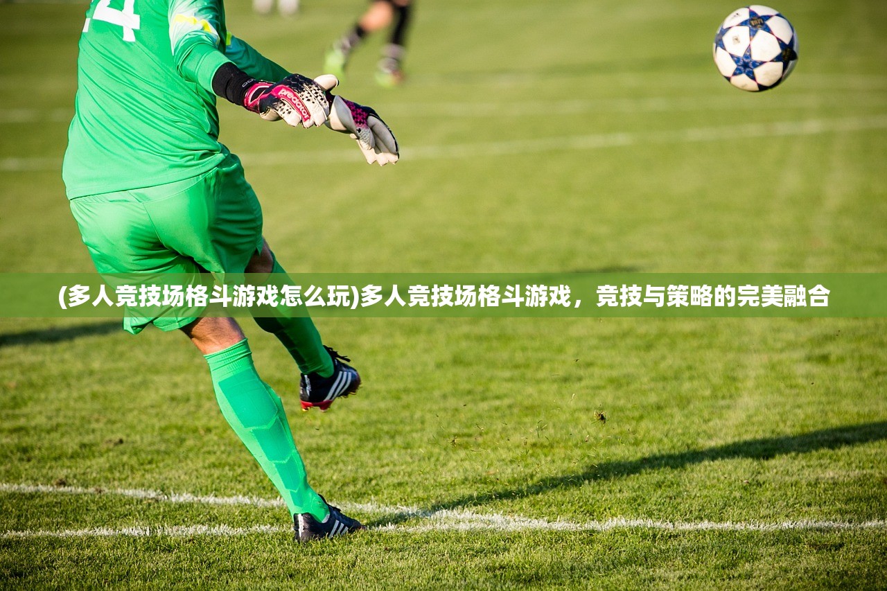 (多人竞技场格斗游戏怎么玩)多人竞技场格斗游戏，竞技与策略的完美融合
