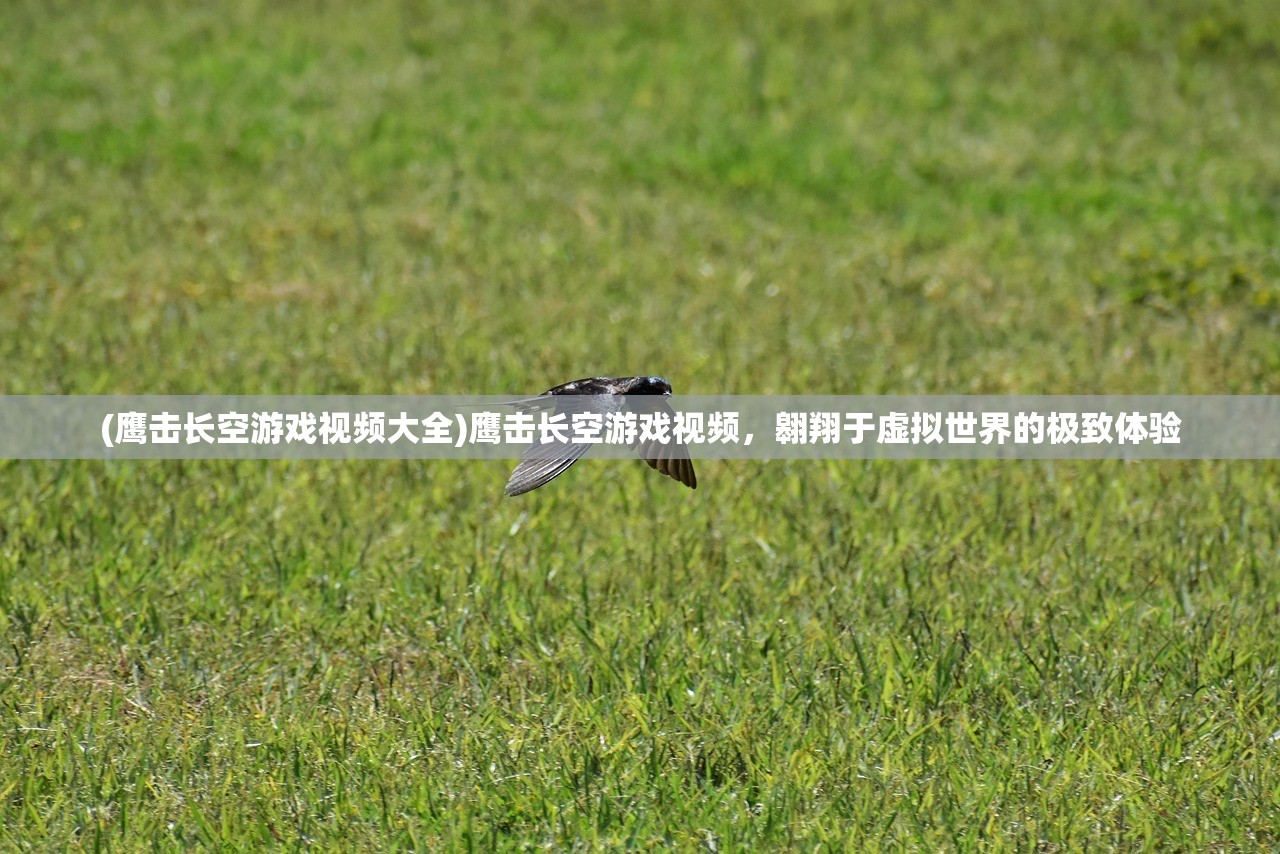 (鹰击长空游戏视频大全)鹰击长空游戏视频，翱翔于虚拟世界的极致体验