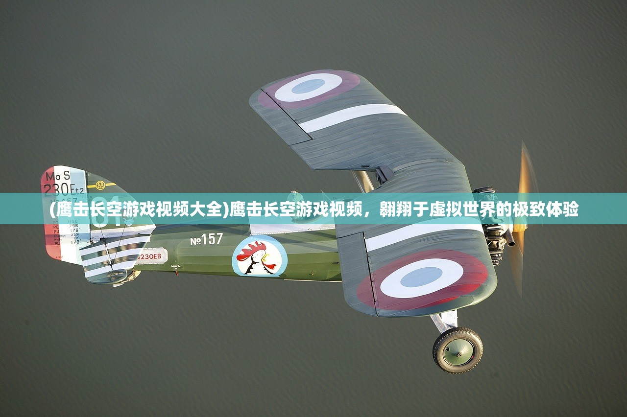 (鹰击长空游戏视频大全)鹰击长空游戏视频，翱翔于虚拟世界的极致体验