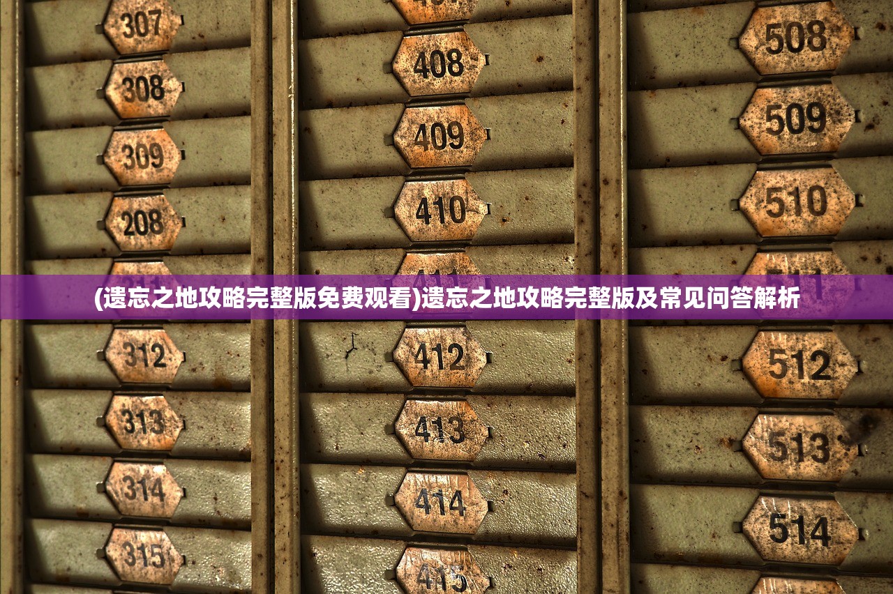 (遗忘之地攻略完整版免费观看)遗忘之地攻略完整版及常见问答解析