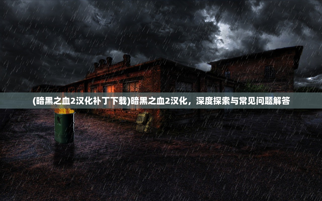 (暗黑之血2汉化补丁下载)暗黑之血2汉化，深度探索与常见问题解答