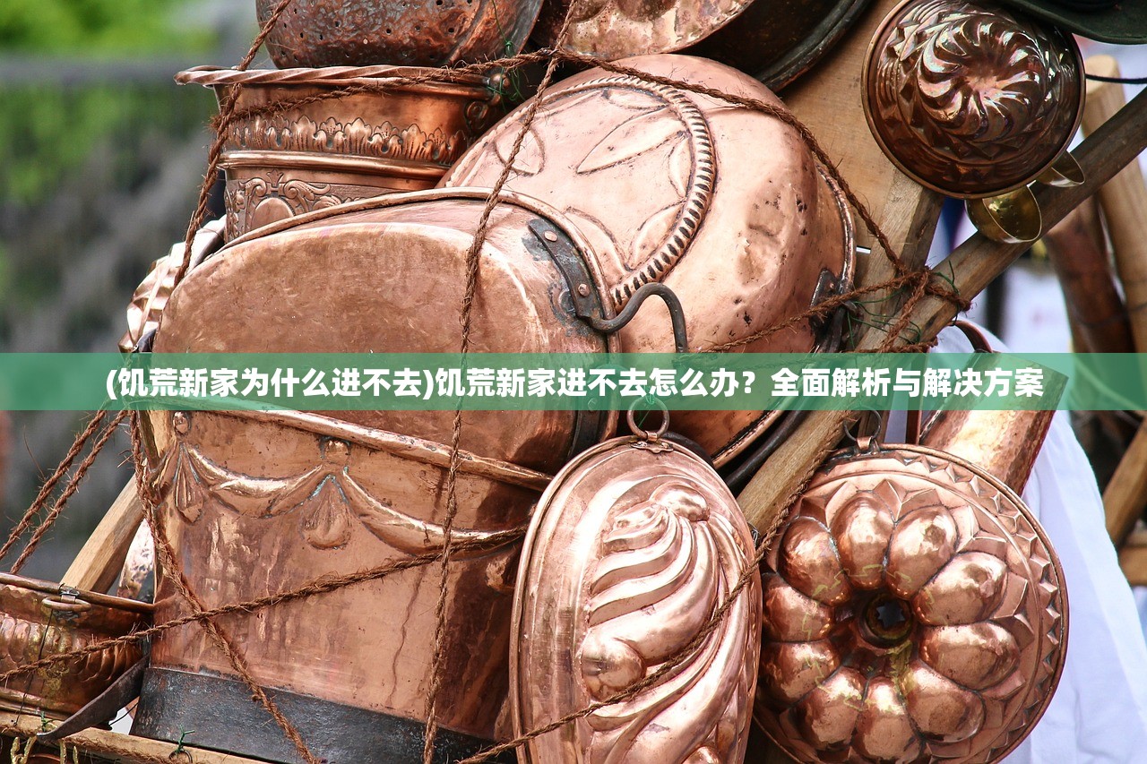 (饥荒新家为什么进不去)饥荒新家进不去怎么办？全面解析与解决方案