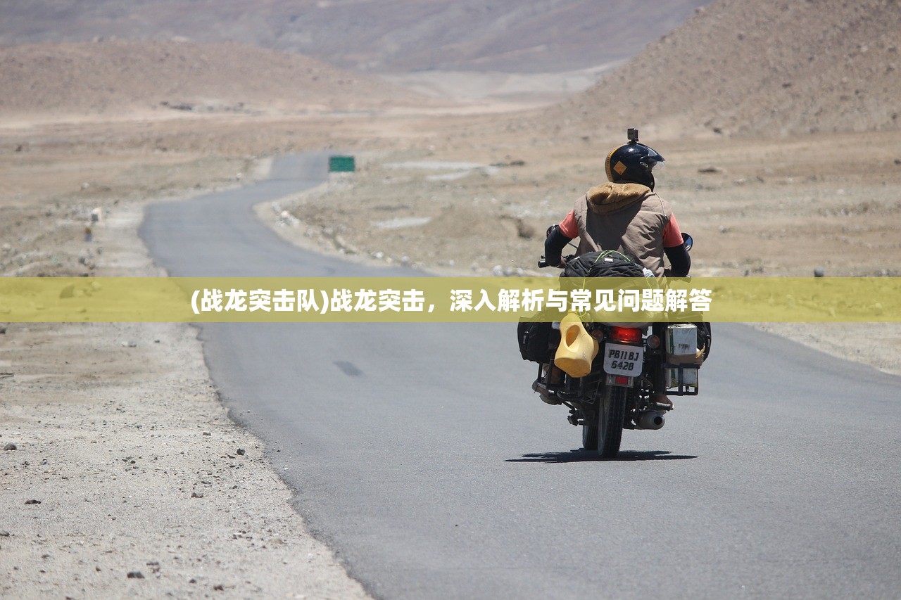 (战龙突击队)战龙突击，深入解析与常见问题解答