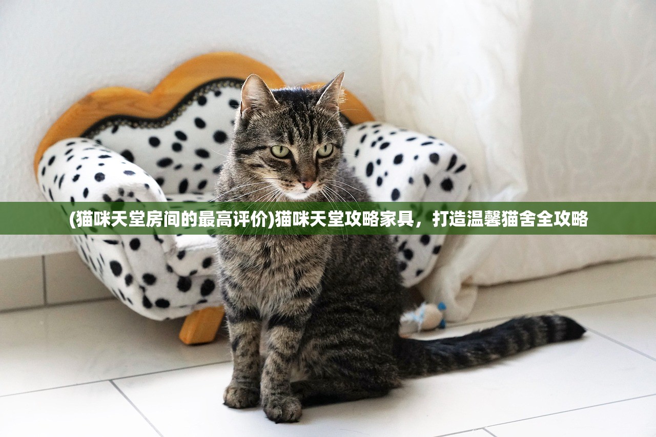 (全职猎人游戏篇)全职猎人游戏，深入探索与常见问题解答