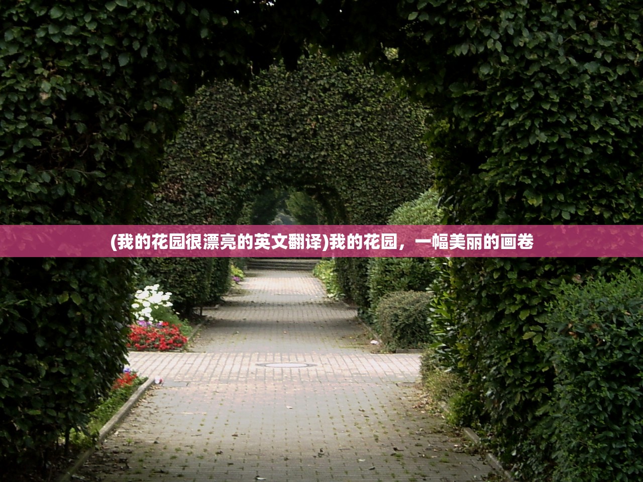 (我的花园很漂亮的英文翻译)我的花园，一幅美丽的画卷
