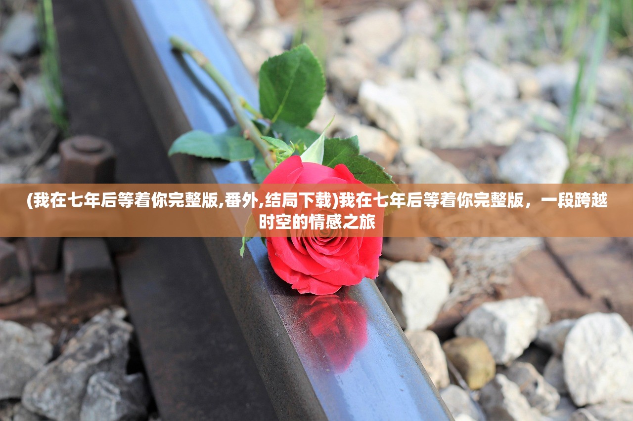 (我在七年后等着你完整版,番外,结局下载)我在七年后等着你完整版，一段跨越时空的情感之旅