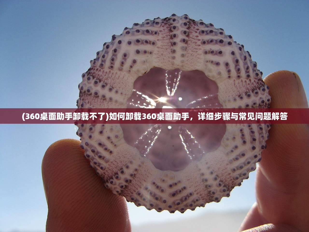 (360桌面助手卸载不了)如何卸载360桌面助手，详细步骤与常见问题解答