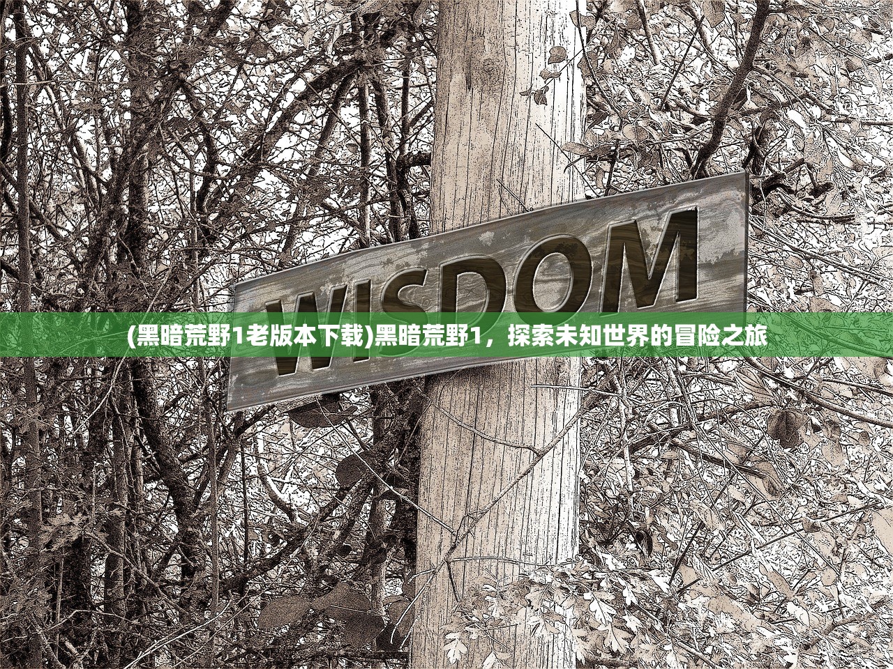 (百战天虫0xe06d7363)百战天虫安装，详细指南与常见问题解答
