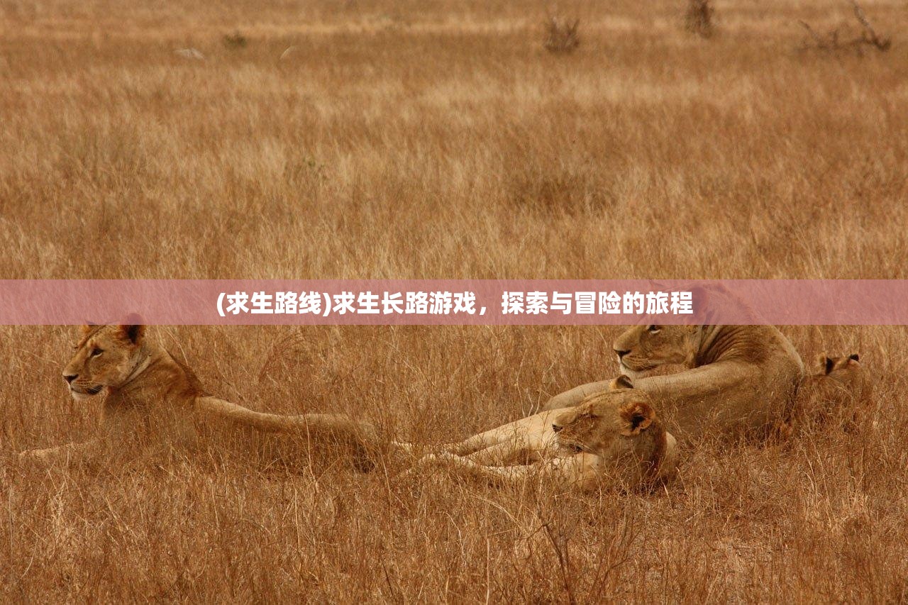 (求生路线)求生长路游戏，探索与冒险的旅程