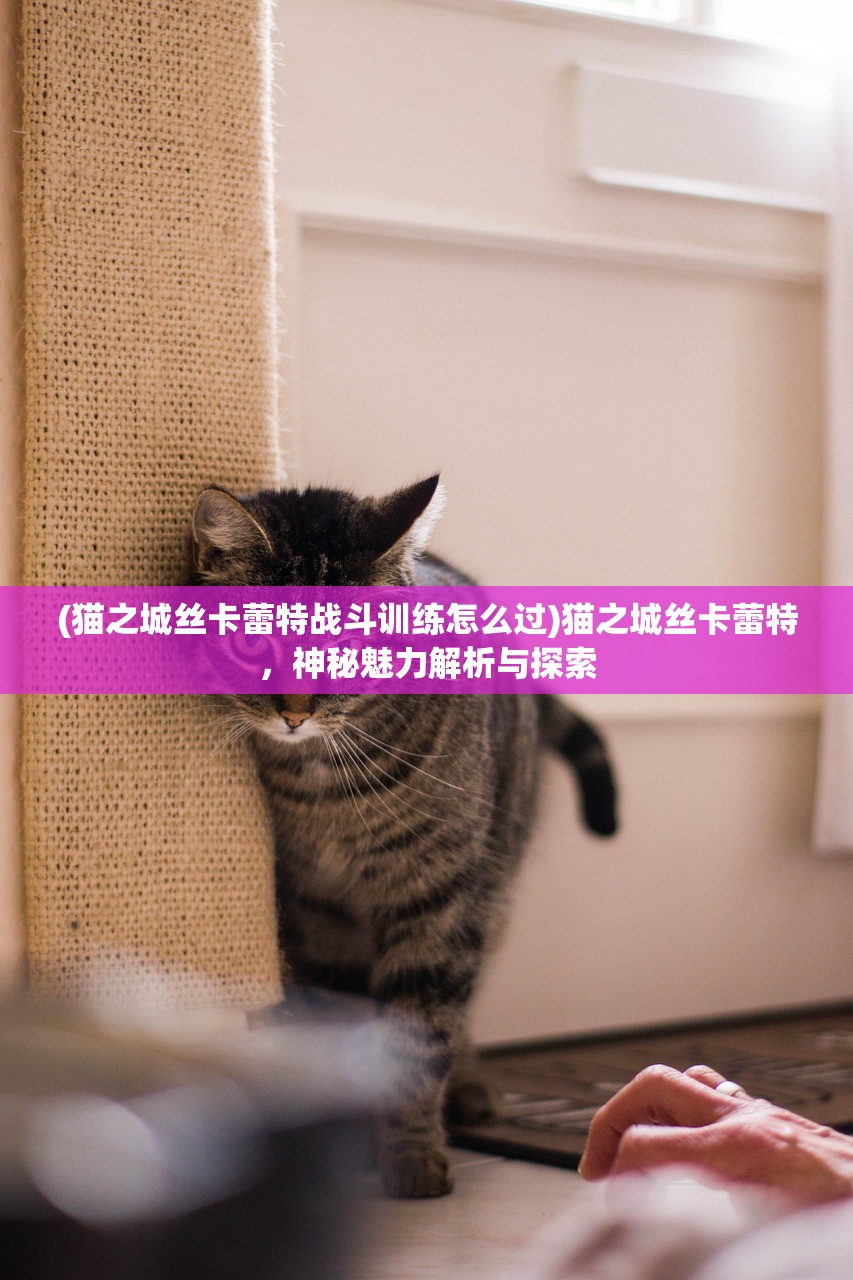 (凡人修仙从大能储物戒开始百度百科)凡人修仙，从大能储物戒的奇幻之旅