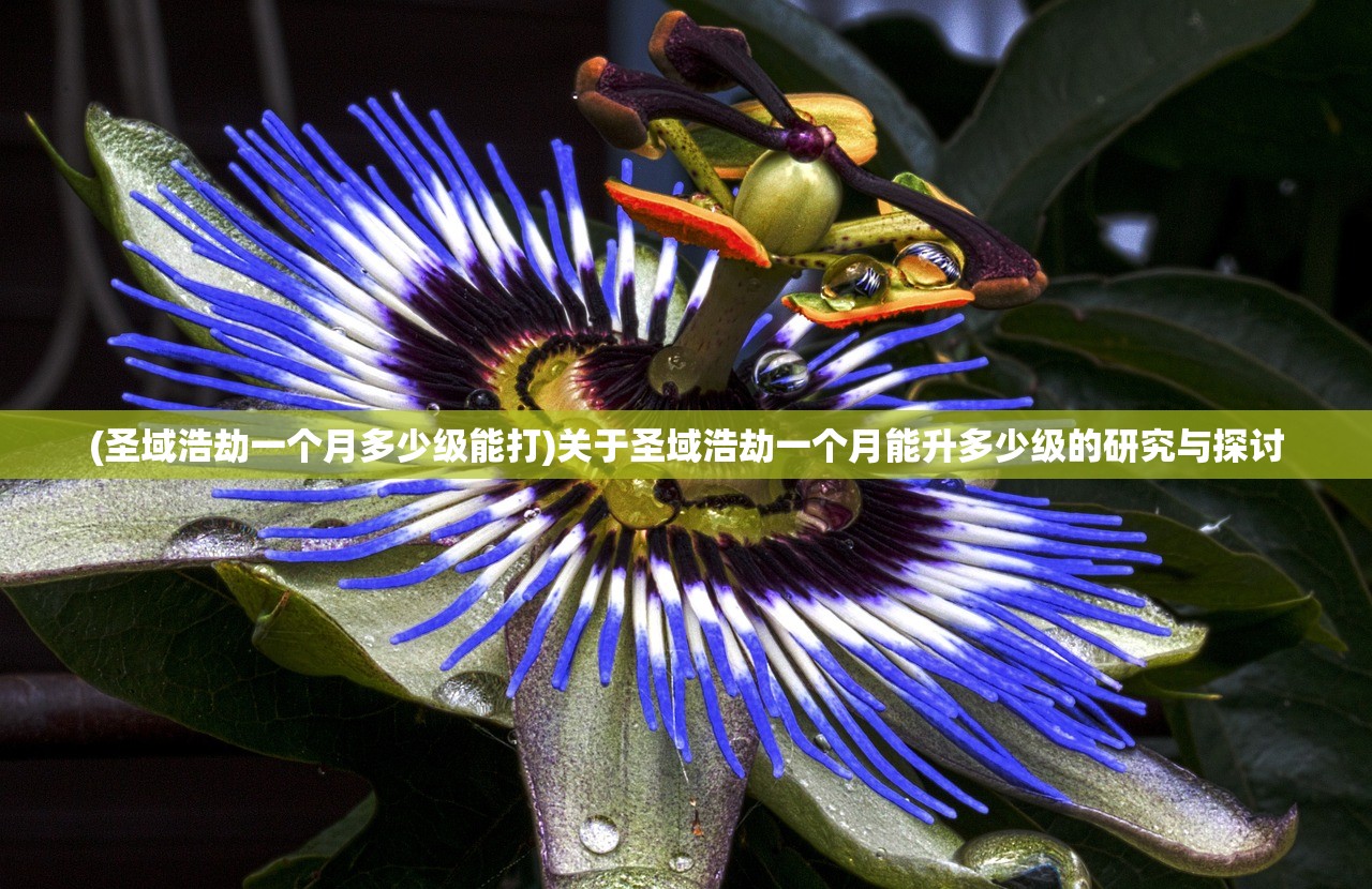 (空中战魂传奇)空中战魂单职业，探索与解析