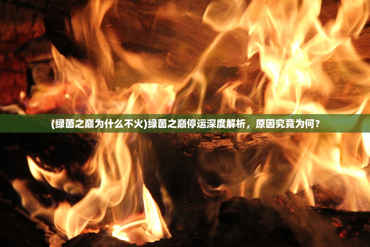 (再生之境阵容推荐)再生之境阵容，探索最佳游戏配置的秘密