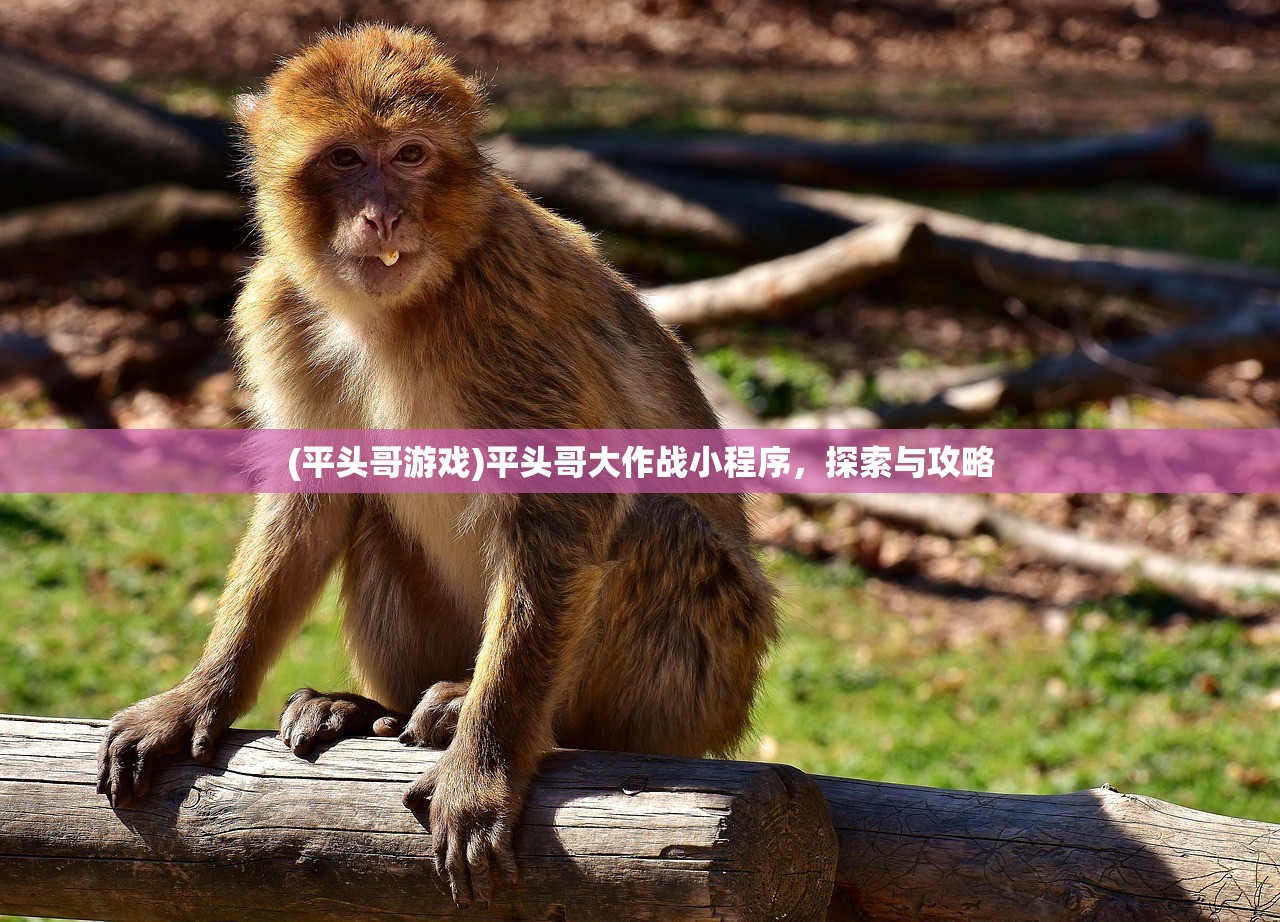 (八荒仙帝)八荒仙武，奇幻世界的武道巅峰之旅