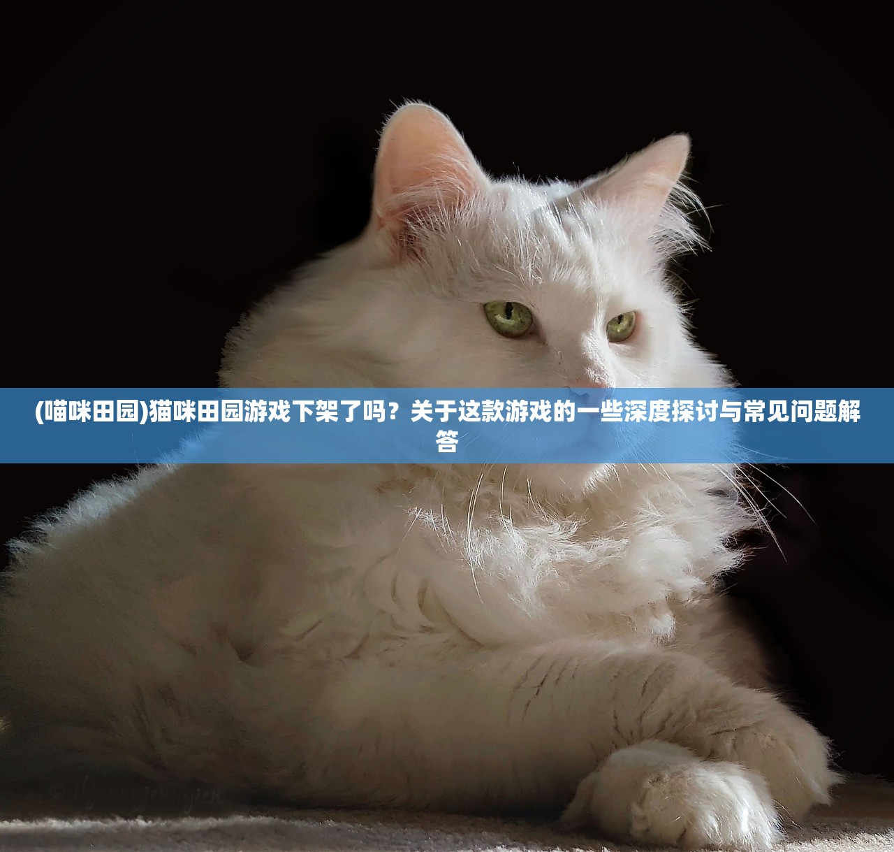 (我的魔法英雄伙伴攻略大全)我的魔法英雄伙伴攻略大全及常见问题解答