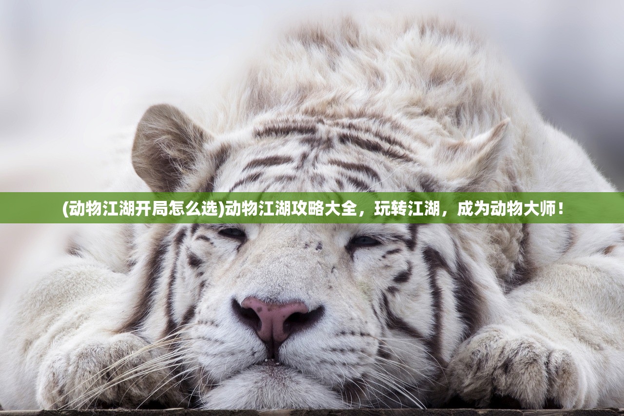 (咱们穿越吧第一季百度网盘)咱们穿越吧第一季，历史与现代的奇妙碰撞