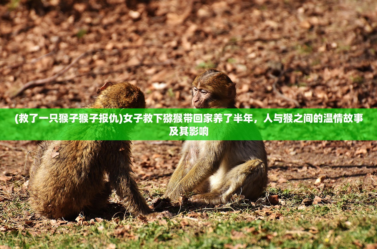 (咱们穿越吧第一季百度网盘)咱们穿越吧第一季，历史与现代的奇妙碰撞