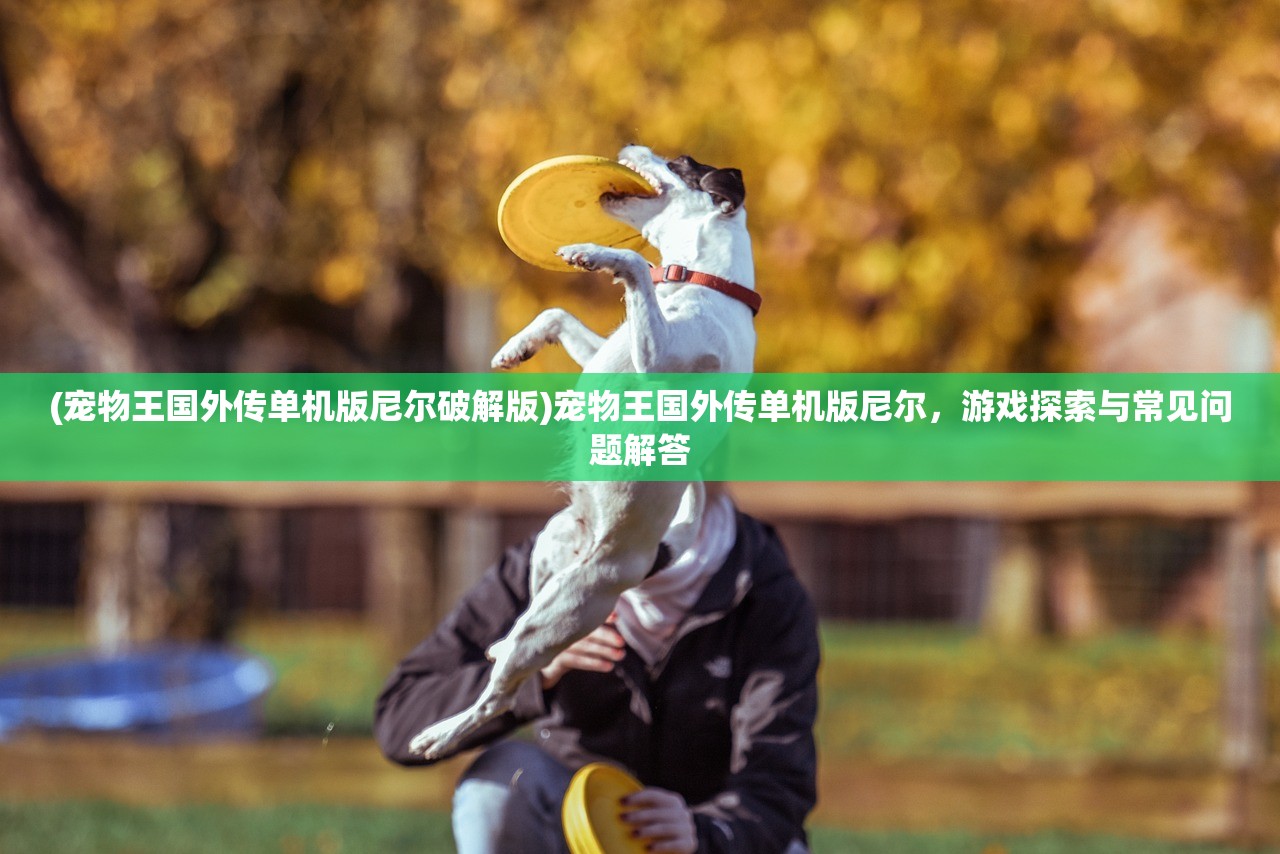 (万灵启源 初始ssr)万灵启源初心召唤，一场神秘的活动解析
